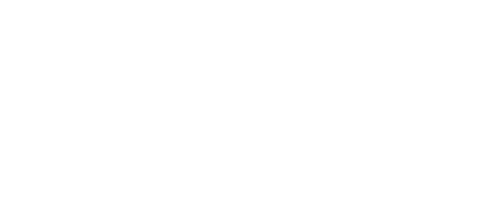 ENAP icono