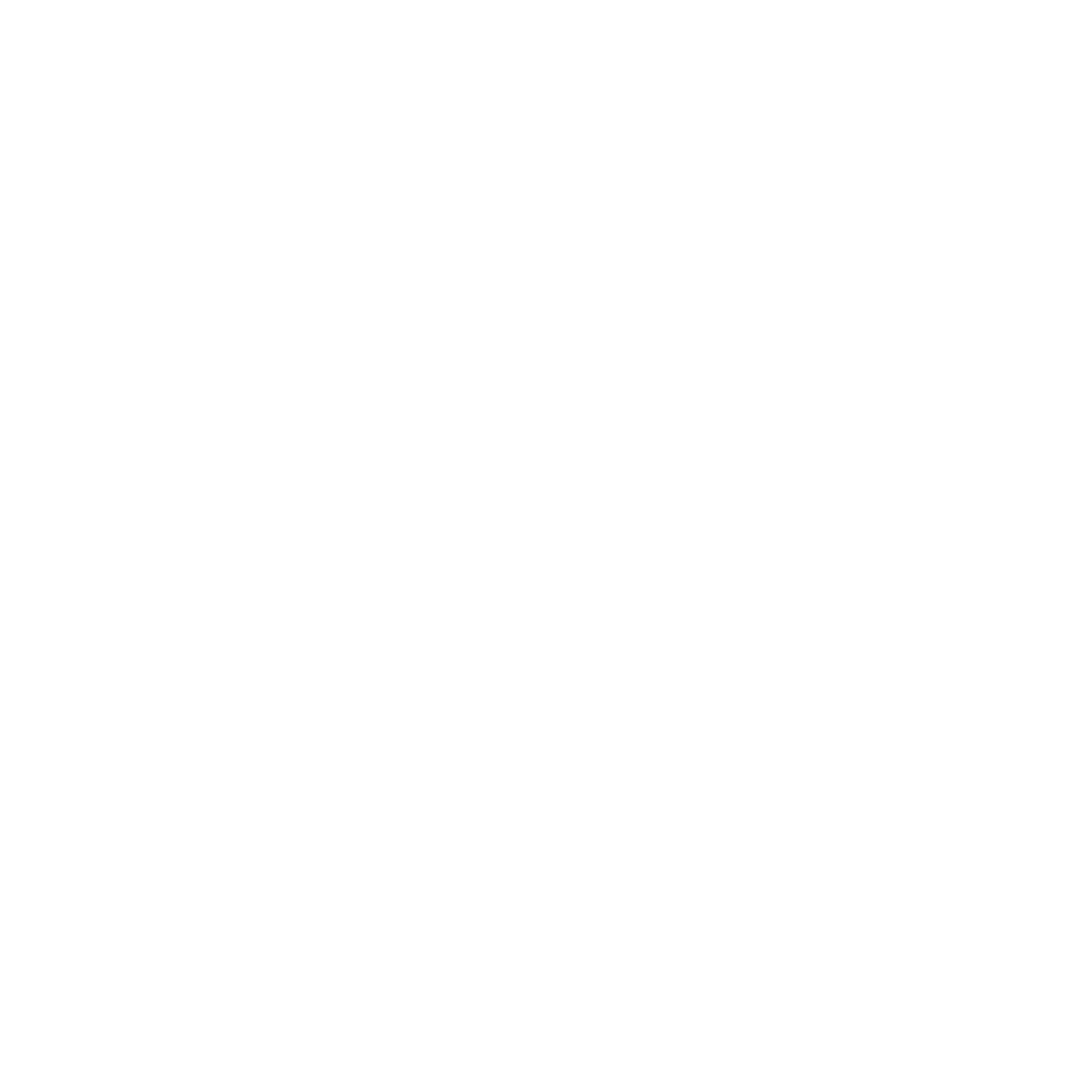FIDEM-logo-blanco